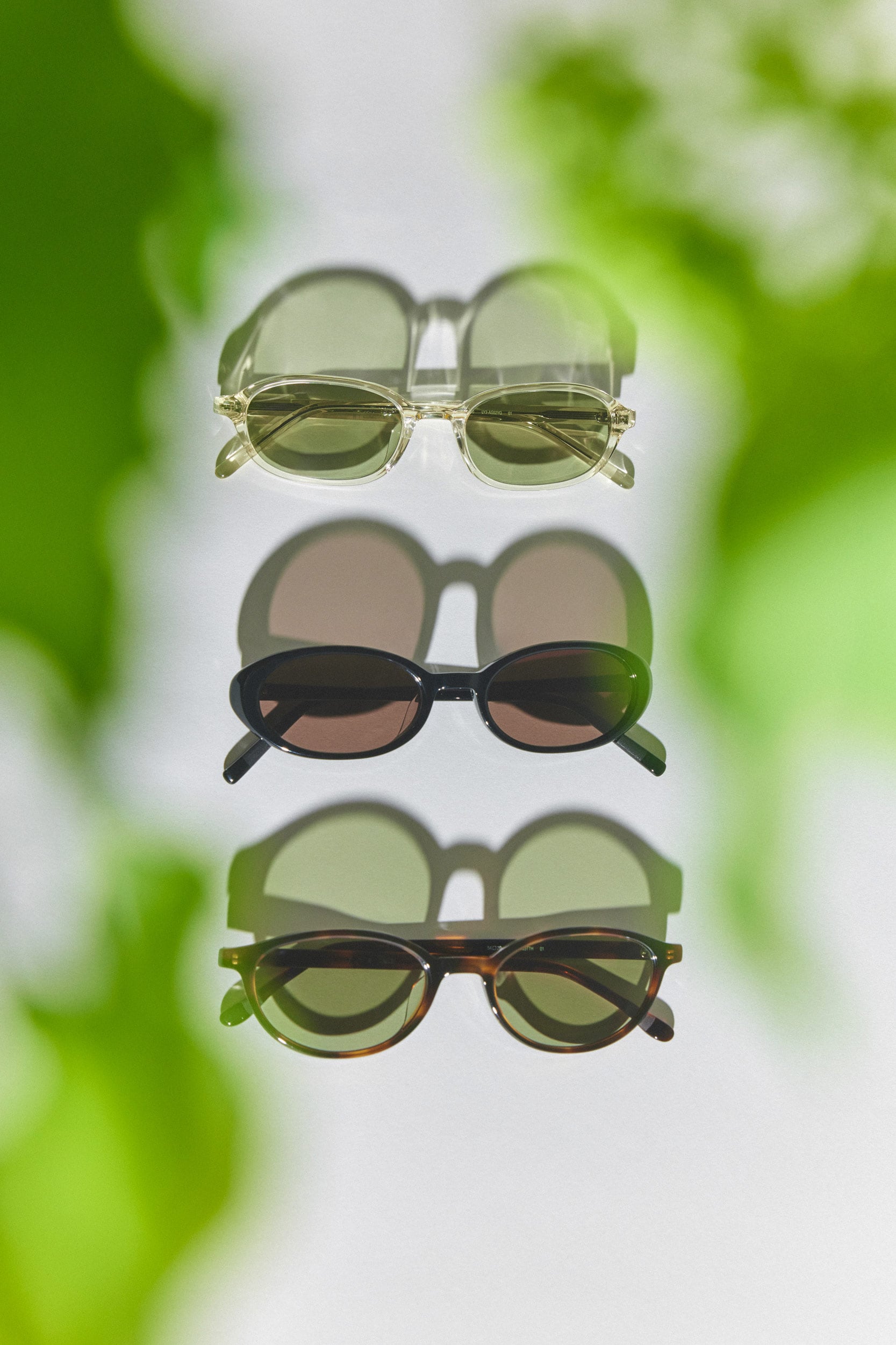 YUN-Browline-Collection